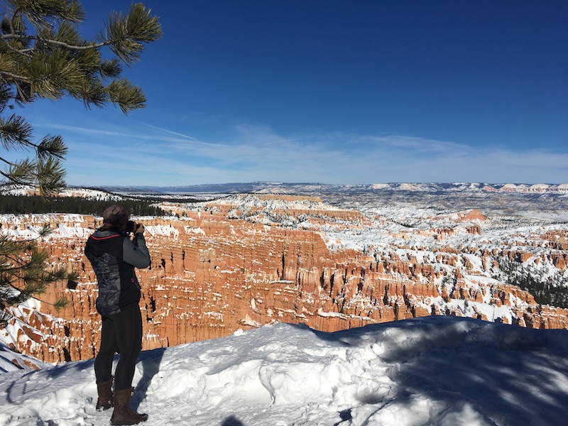 bryce national park winter